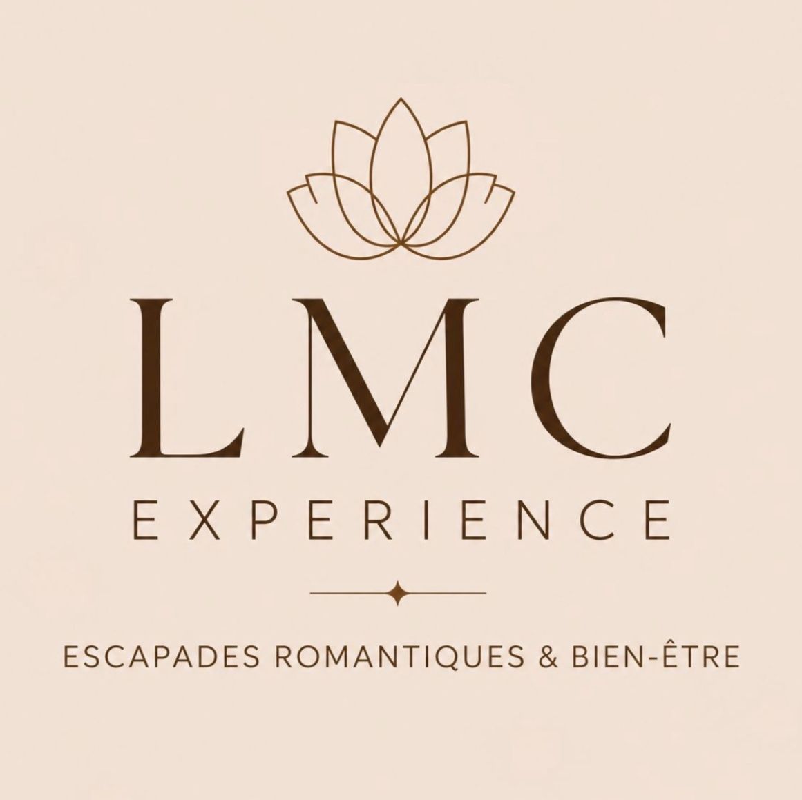 LMC Expérience - image 2