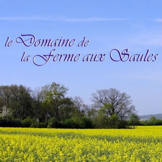 Domaine de la Ferme aux Saules - image 1