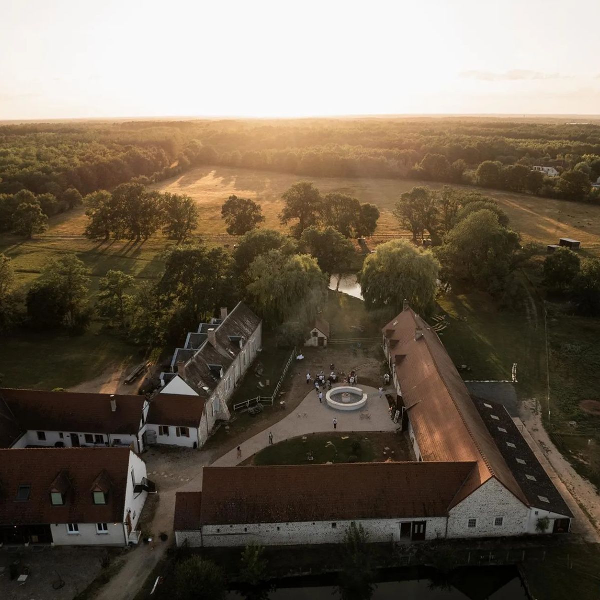 Rayon de Sologne - image 3