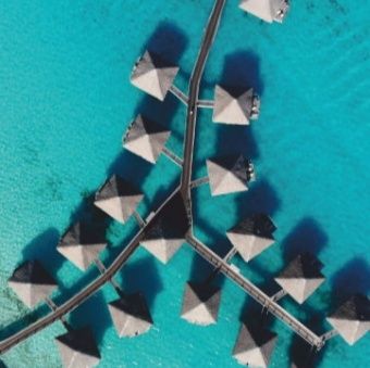 Tahiti, Nouvelle-Zélande, île Maurice - image 4