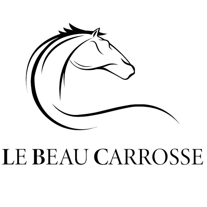 Le Beau Carrosse - image 1