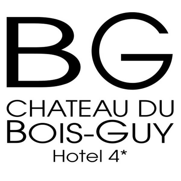 Château du Bois Guy - image 1